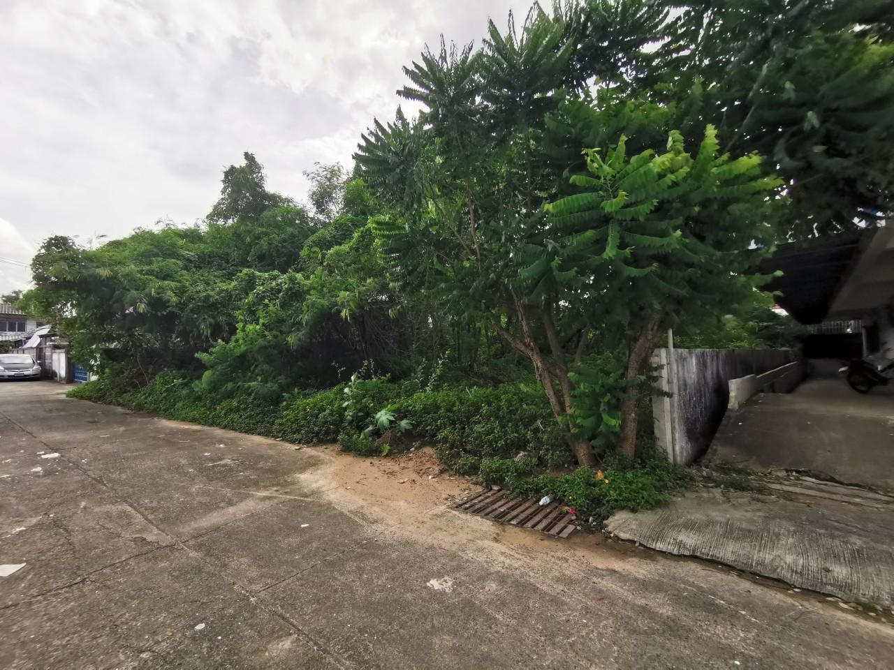 ที่ดินเปล่า อุบลราชธานี